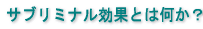 �T�u���~�i�����ʂƂ͉����H